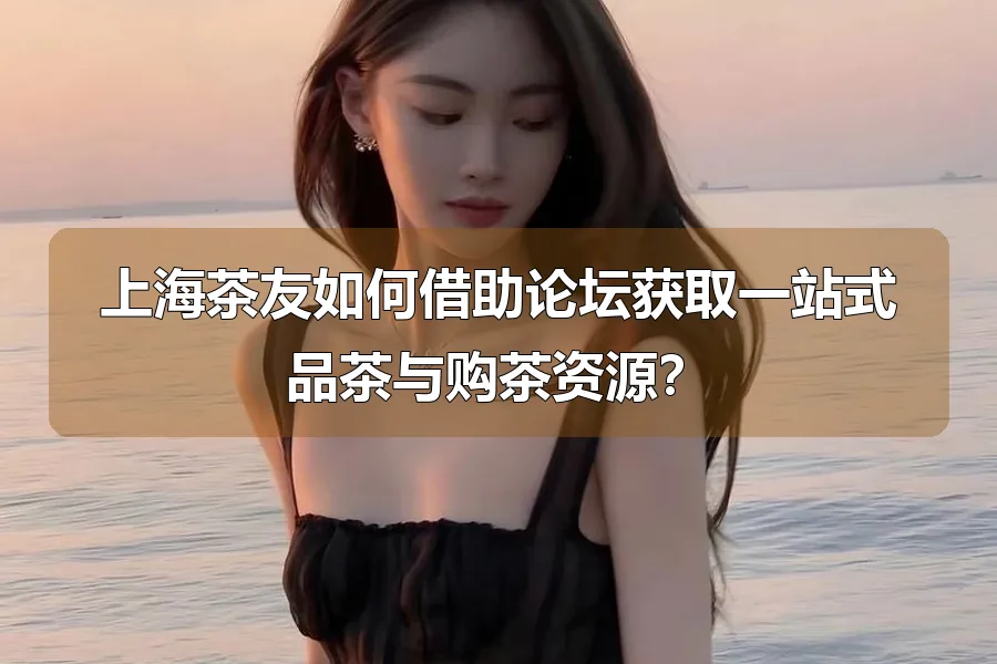 上海茶友如何借助论坛获取一站式品茶与购茶资源？